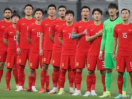 为了国内外